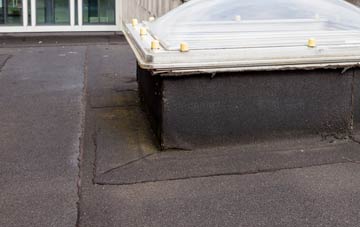 disadvantages of Brinsop Common flat roofs