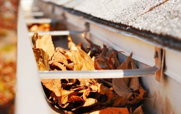 Brinsop Common gutter cleaning companies