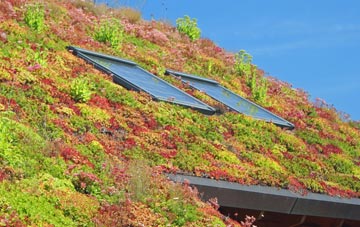Brinsop Common living roof systems