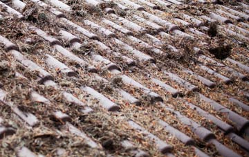 Brinsop Common roof cleaning companies