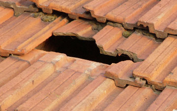 roof repair Brinsop Common, Herefordshire