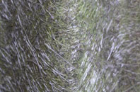 Brinsop Common fibreglass roof work